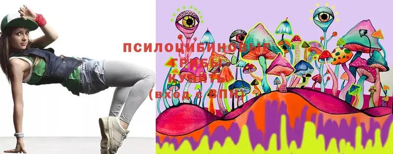 Галлюциногенные грибы Cubensis  shop формула  Алзамай  где купить наркотик 